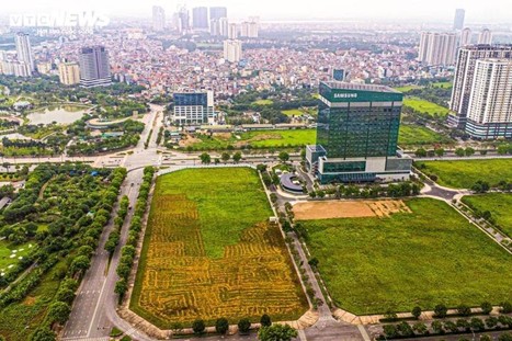 Những điểm mới trong chính sách đất đai sắp ban hành quý II/2025